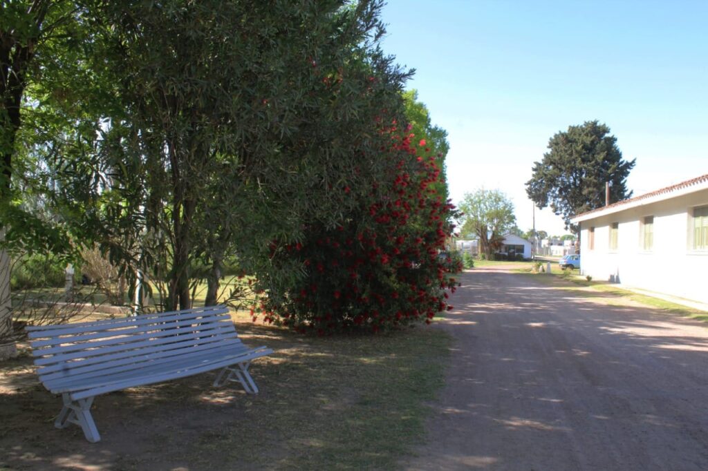 IMG-20221031-WA0035